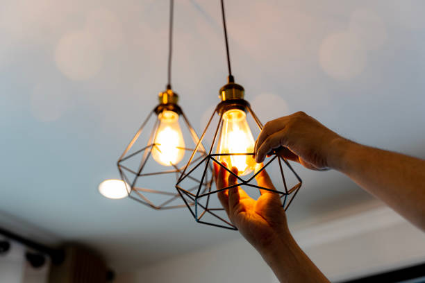 Best Electric Panel Repair  in Maysville, NC